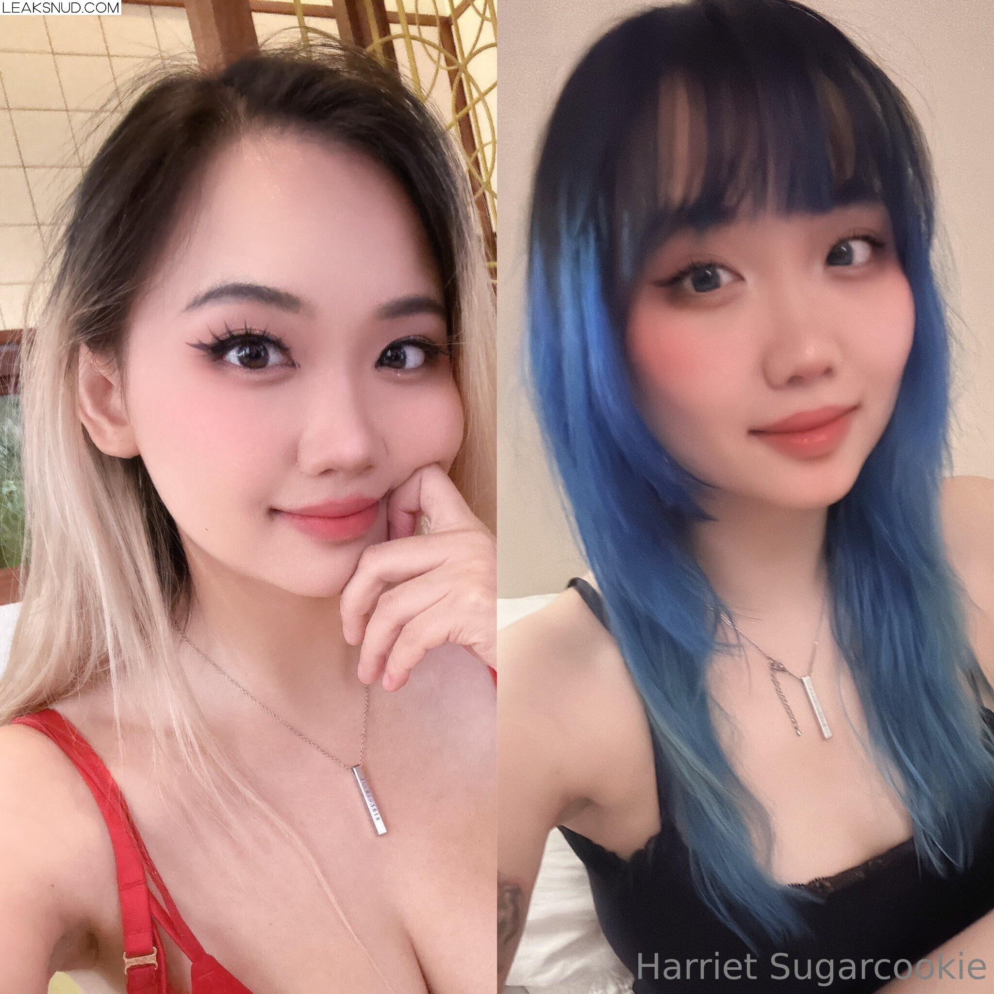 harrietsugarcookie Erome Nude Onlyfans