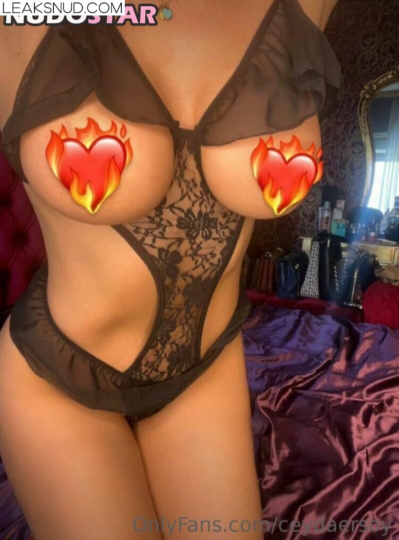 Ceyda Ersoy / ceydaersoy / ceydaersoyy Nude Leaks OnlyFans Photo 29