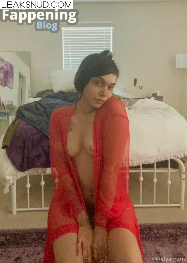 Indya Marie / indyamarie / indyjean Nude Leaks OnlyFans Photo 23