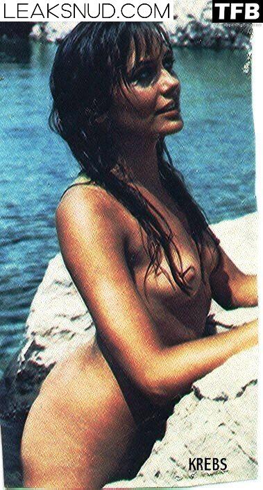 Lesley-Anne Down Nude Leaks Photo 12