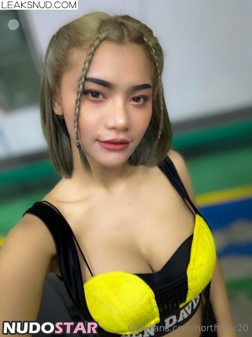 Northstar Thai / minidastar / northstar20 Nude Leaks OnlyFans Photo 24