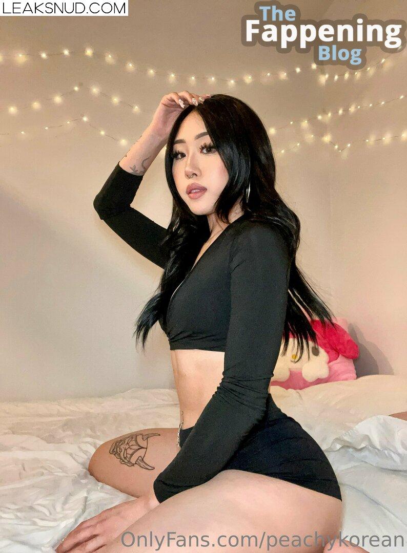 Peachykorean / Twerkorean Nude Leaks OnlyFans Photo 30